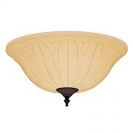 Hunter-99157-Tea-Stain-Bowl-Light-Kit